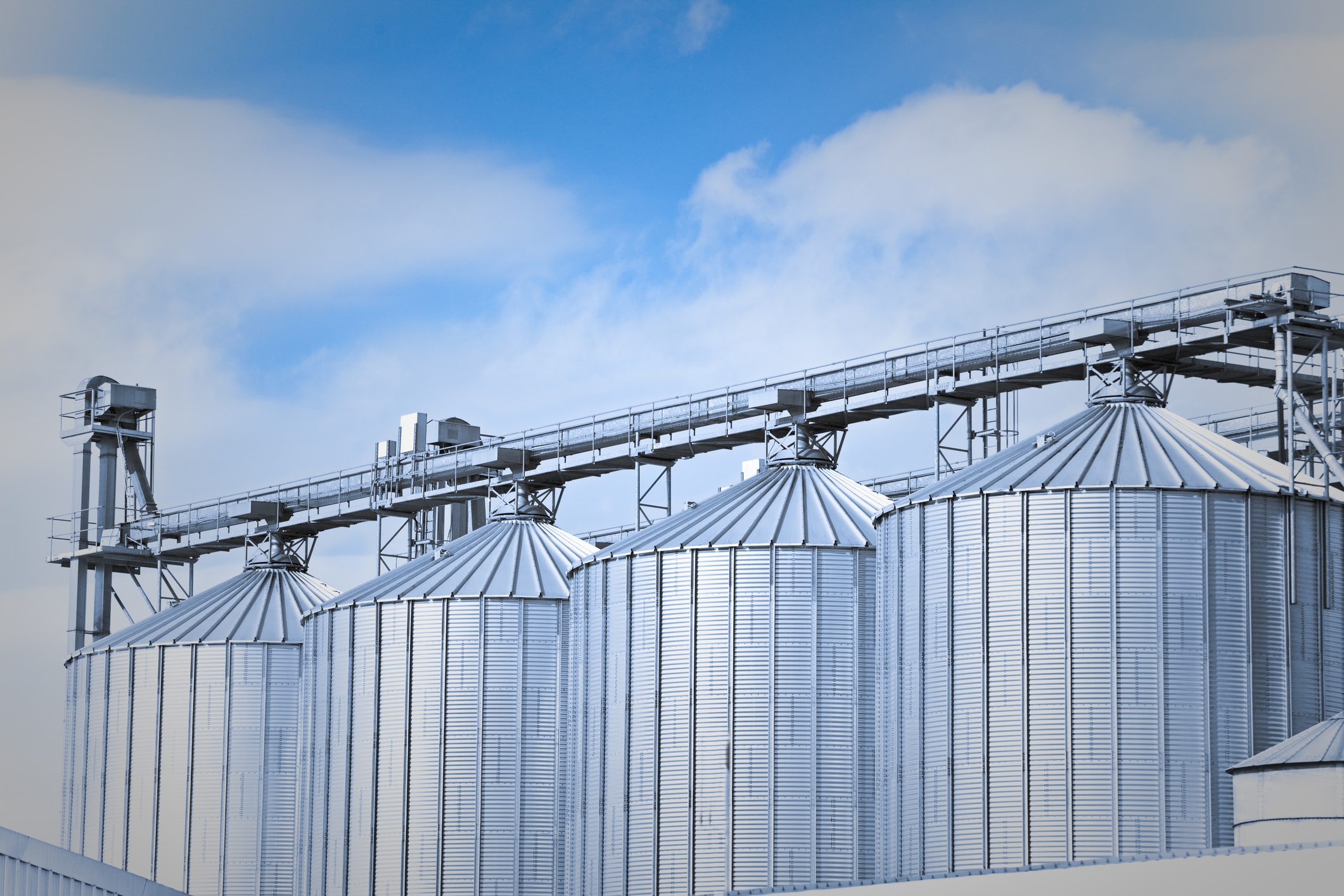 Towers of a biogas plant